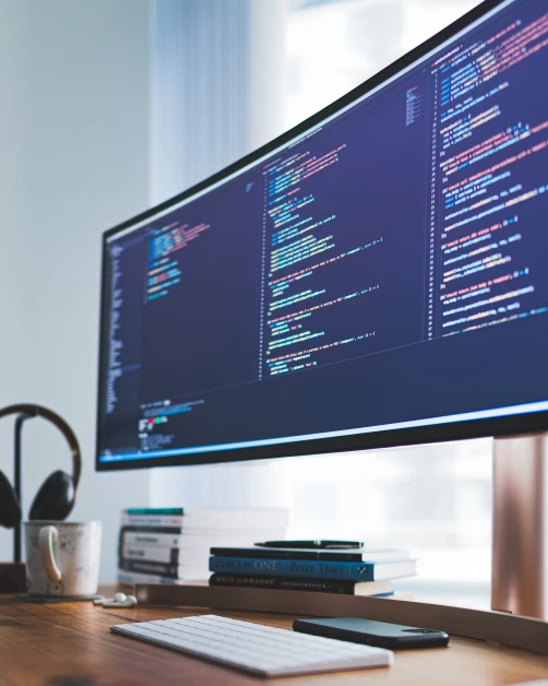 software for business LSI