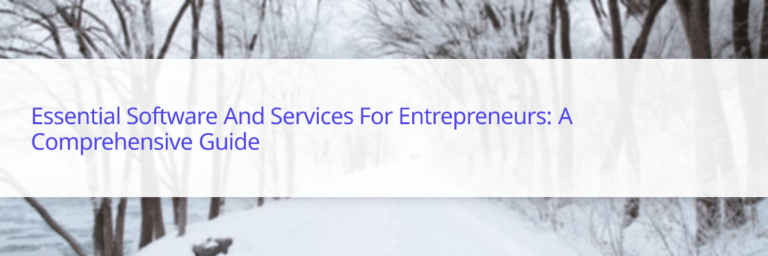 entrepreneurs software LSI