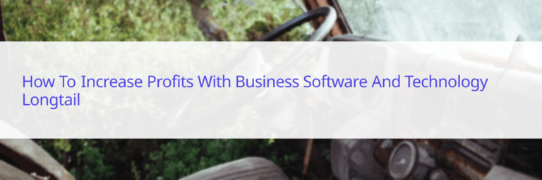 how to increase profits with business software and technology longtail