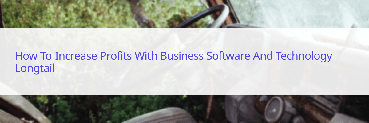 how to increase profits with business software and technology longtail