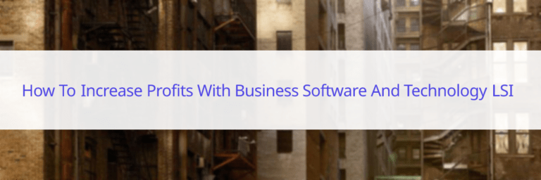 how to increase profits with business software and technology LSI