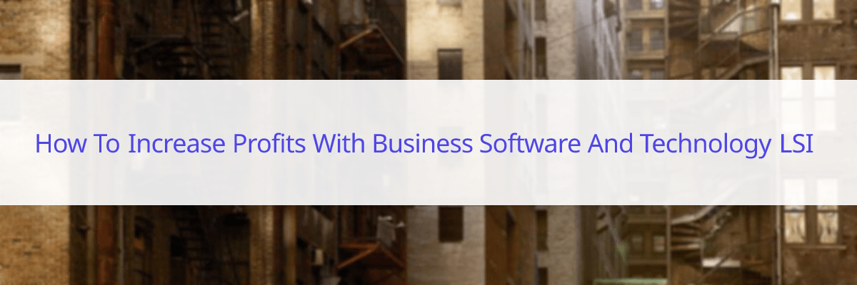 how to increase profits with business software and technology LSI